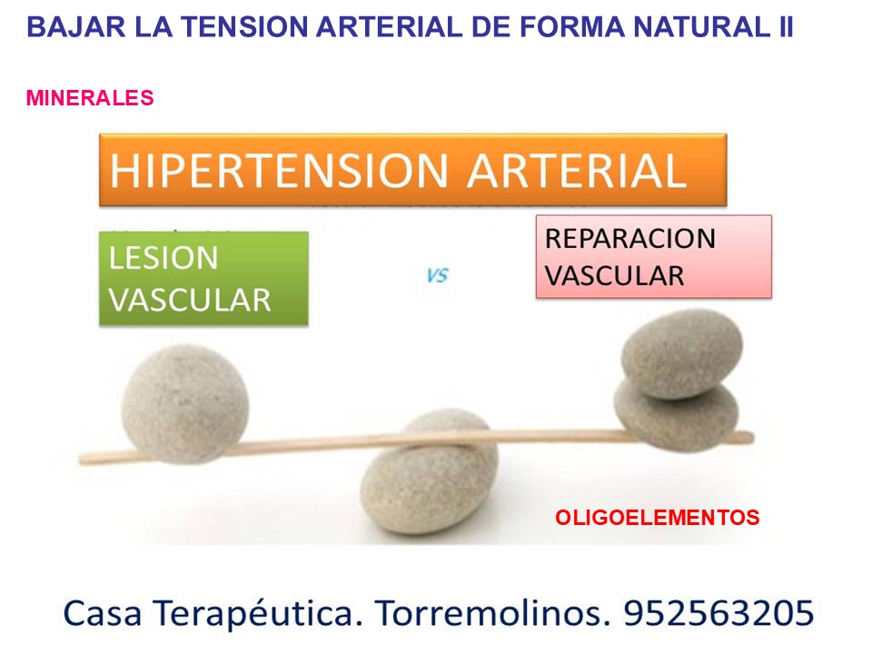 Hipertensión minerales y oligoelementos
